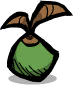 Thimble Reed Seed