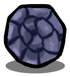 Coquina