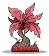 Gum Palm