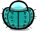 Hydrocactus Seed