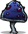 Dusk Cap