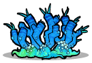 Flue Coral