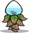 Waterweed