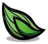 Tower Kelp Seed