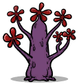 Bonbon Tree