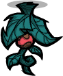 Pincha Pepperplant