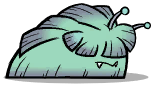 Sponge Slug