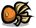 Ovagro Fig